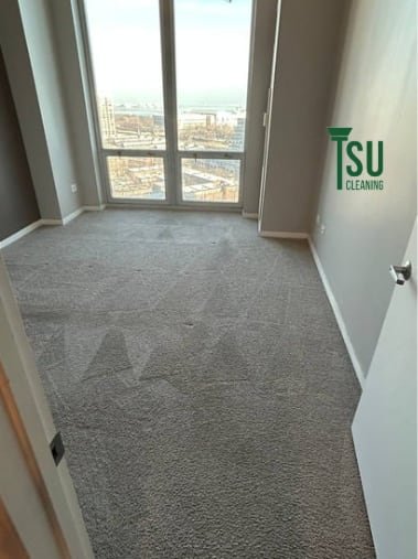 Living-room carpet in a Chicago home after cleaning by TSU Cleaning, with fresh extraction lines across the pile