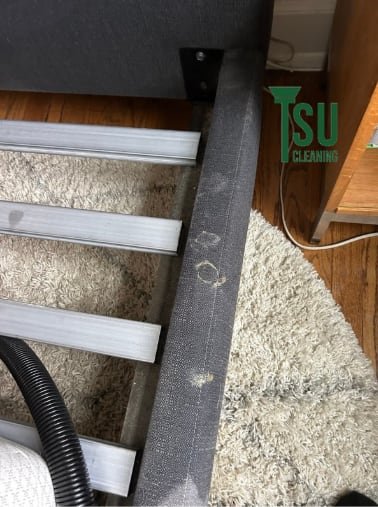 Light high-pile area rug before cleaning, showing set-in stains near the desk
